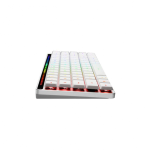 17431176565139-asusrogfalchionrxlowprofiletastieragamingusbrfwirelessbluetoothqwertzbianco