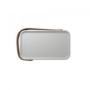 1743127085647-bangolufsenbeolit20altoparlanteportatilestereogrigio
