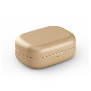 17431271513161-bangolufsenbeoplayexauricolaretruewirelessstereotwsinearmusicaechiamatebluetoothoro