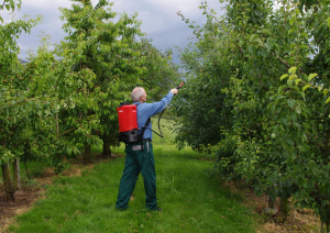17431477432865-birchmeierrec15ac1spruzzatoredagiardinoaspalla15l
