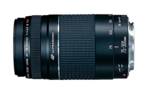 17431754566502-canoneos2000defs1855mmf3556isiief75300mmf456iiikitfotocamereslr241mpcmos6000x4000pixelnero