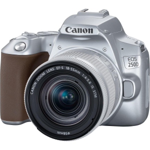 17431754679313-canoneos250defs1855mmf456isstmkitfotocamereslr241mpcmos6000x4000pixelargento