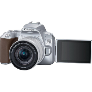 17431754695833-canoneos250defs1855mmf456isstmkitfotocamereslr241mpcmos6000x4000pixelargento