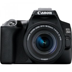 17431755024116-canoneos250dnero