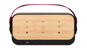 1743282842417-fender9190021015altoparlanteportatilemononero60w