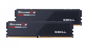 17433078239968-gskillripjawss5f55600j4040d48gx2rs5kmemoria96gb2x48gbddr55600mhz