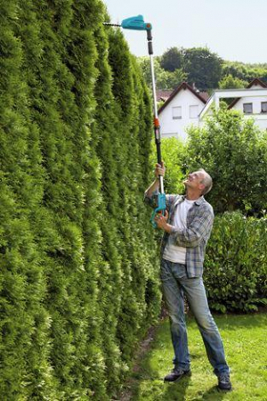 17433091183053-gardenaths4218vp4adoppialama34kg
