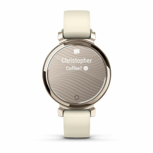17433096146254-garminlily2digitale240x201pixeltouchscreenorogpssatellitare