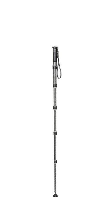 17433216290004-gitzogm45621438carbonio