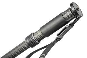 17433216293184-gitzogm45621438carbonio