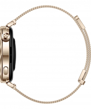 17433969592495-huaweiwatchgt541mm335cm132amoleddigitale466x466pixeloro