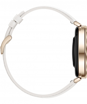 17433970661378-huaweiwatchgt541mm335cm132amoleddigitale466x466pixeloro