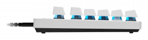 17434024997708-logitechgproxtklrapid