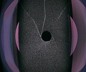 17434252577842-carlzeissplanart250zmmilcnero