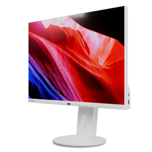 17434805338311-lenovoc24d20leddisplay61cm241920x1200pixelfullhdgrigiobianco