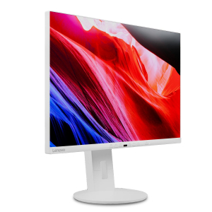 17434805367193-lenovoc24d20leddisplay61cm241920x1200pixelfullhdgrigiobianco