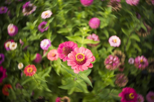17434900571229-lensbabytrio28milcnerobianco