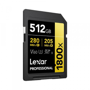 17434924103842-lexarprofessional1800x512gbsdxcuhsiiclasse10