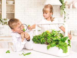 1743526353727-clickgrowsmartgarden9giardinaggiobianco