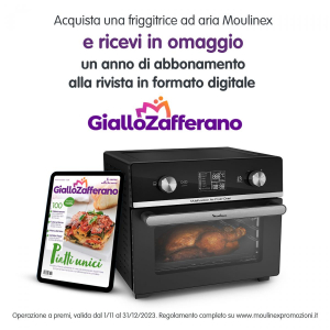 17435458147204-moulinexeasyfryal6058friggitriciadariamultifunzione10in120l