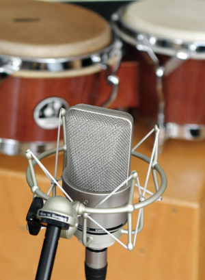 17435567806997-neumann008545microfononichelmicrofonoperpalcospettacolo