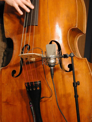 17435567822384-neumann008545microfononichelmicrofonoperpalcospettacolo