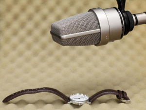17435567829915-neumann008545microfononichelmicrofonoperpalcospettacolo