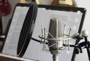 17435567837892-neumann008545microfononichelmicrofonoperpalcospettacolo