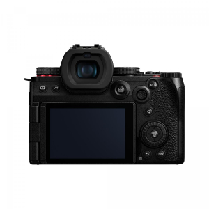 17435813055248-panasoniclumixg9iicorpomilc2521mplivemos11552x8672pixelnero