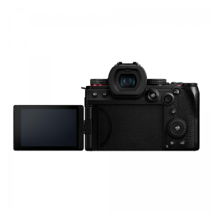 17435813068249-panasoniclumixg9iicorpomilc2521mplivemos11552x8672pixelnero
