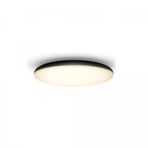 17435913649041-philipshuewhiteambiancecherplafonierasmartneradimmerswitch