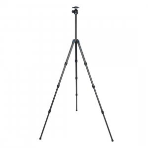 1743668982224-siruist224treppiedefotocameredigitalifilm3gambagambenero