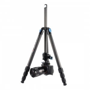 17436689860089-siruist224treppiedefotocameredigitalifilm3gambagambenero
