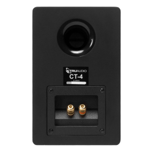 17436819701617-truaudioct4subwoofersnero40w