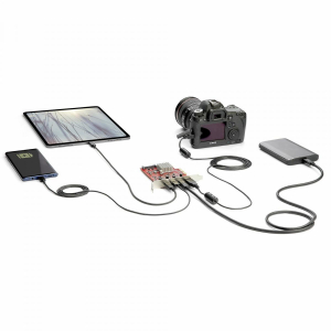 17436890244029-startechcomschedapciexpressusba4porteschedadiespansionepcieusb10gbpscon2controller2porteusbce2porteusbausb32gen2schedapcieusbusbcprofilocompleto