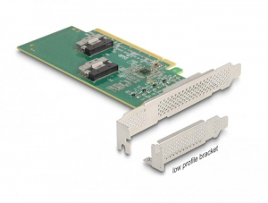 17438772548564-delockschedapciexpress40x16a4xsff8639nvmebiforcazionefattorediformaabassoprofilo
