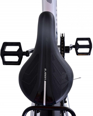 17438777374137-volarecrossbiciclettadacittaargento