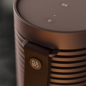 17439432298241-bangolufsenbeosoundexploremarrone60w