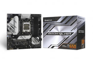 17439634832128-biostarb650msilverschedamadreamdb650socketam5microatx