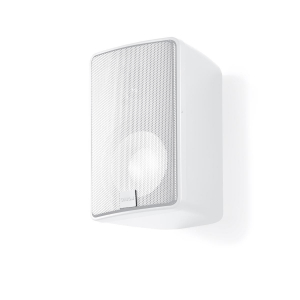 17439857552981-cantonplusx32viebiancocablato50w