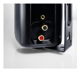 17439857760405-cantonprox32vienerocablato50w