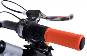 17440066632314-volare22638biciclettabiciclettadacittaargento