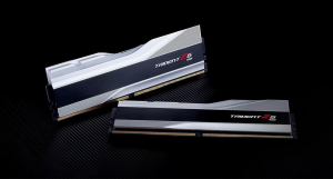 17440147757951-gskillf58000j4048f24gx2tz5rsmemoria48gb2x24gbddr58000mhz