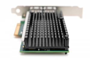 17440287470735-digitusadattatoredelserverethernetadoppiaporta10gbps