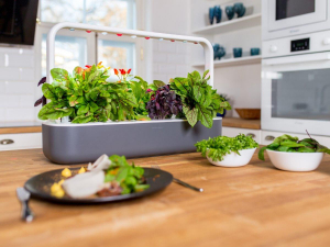17440364135743-clickgrowsmartgarden9giardinaggiogrigio