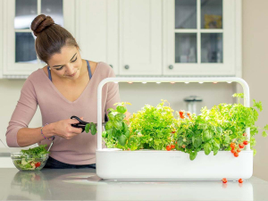 17440364159731-clickgrowsmartgarden9giardinaggiogrigio
