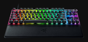 17440368156922-razerhuntsmanv3protenkeylessus