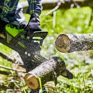 17440928780189-greenworksgd60cs40neroverde