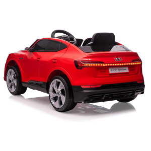 17441382567689-jamaraaudietronautocavalcabile