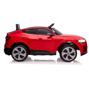 17441382576118-jamaraaudietronautocavalcabile